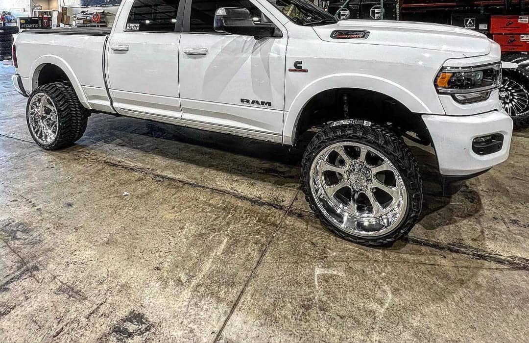 CKH34 Cerberus CC - Image 3