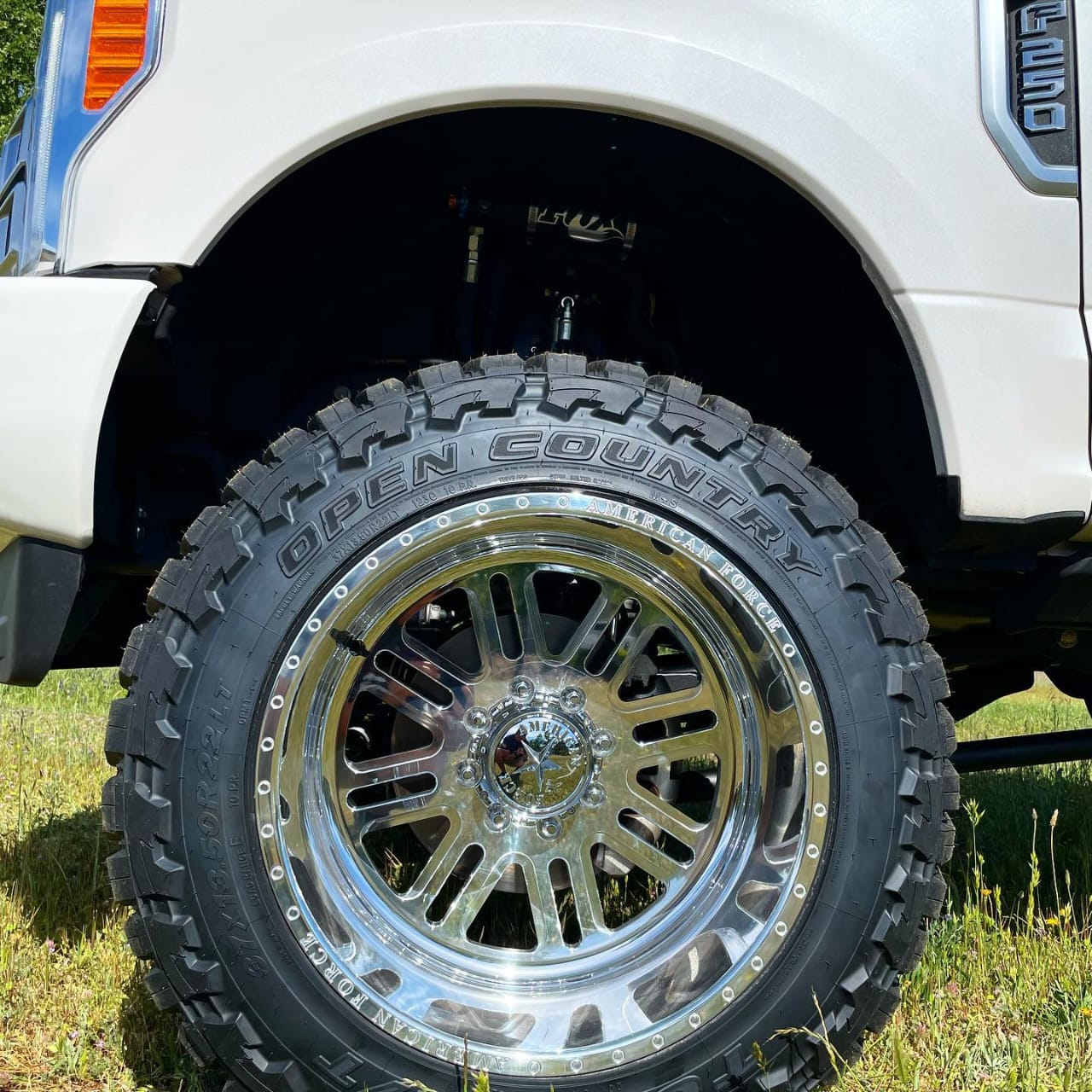 161 Alpha SS - Image 6