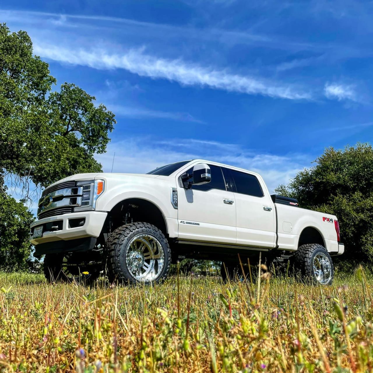 161 Alpha SS - Image 7